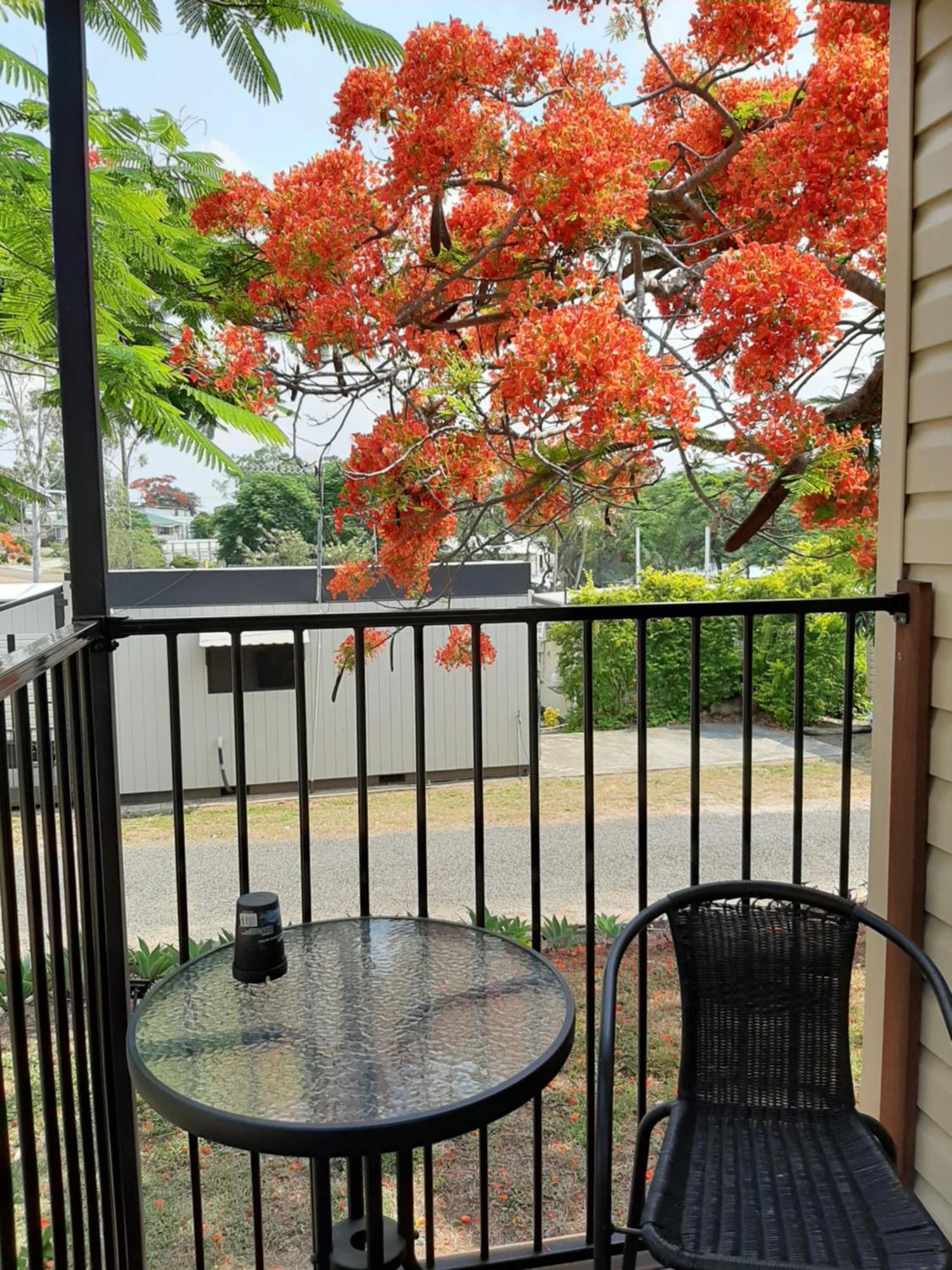 Mount Larcom Mt Larcom Tourist Park酒店 外观 照片