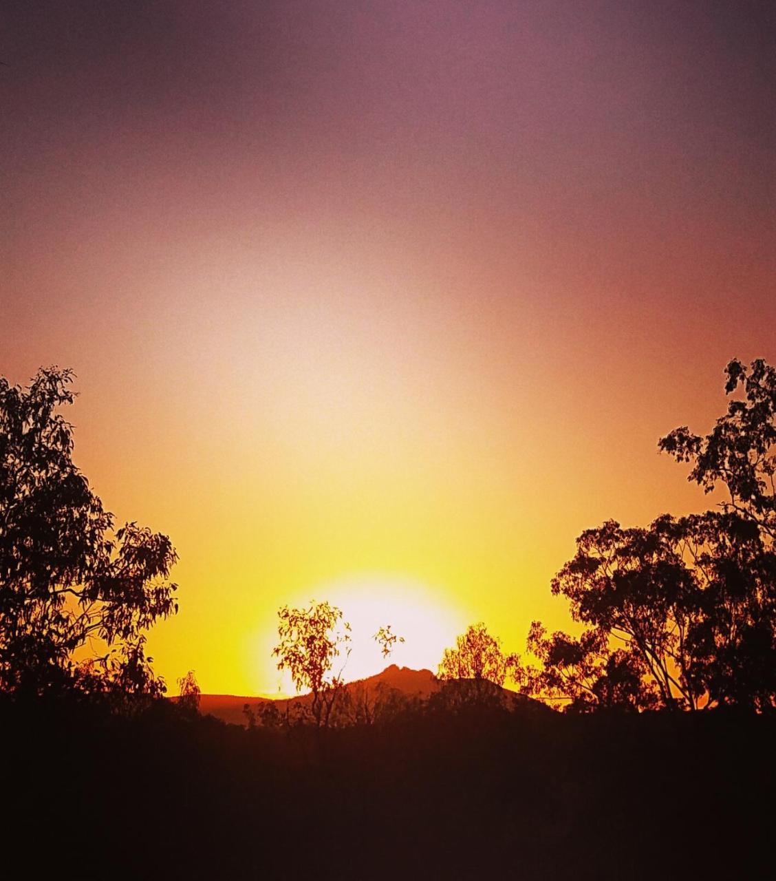 Mount Larcom Mt Larcom Tourist Park酒店 外观 照片